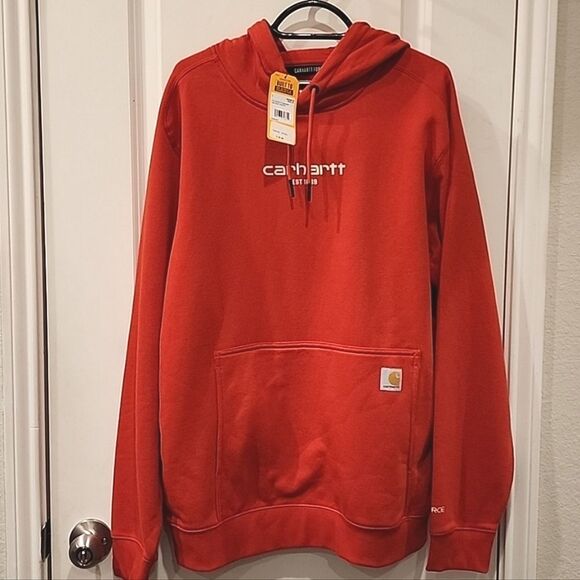 Carhartt Force Relaxed Fit Lightweight Logo Graphic Hoodie - Picture 5 of 6